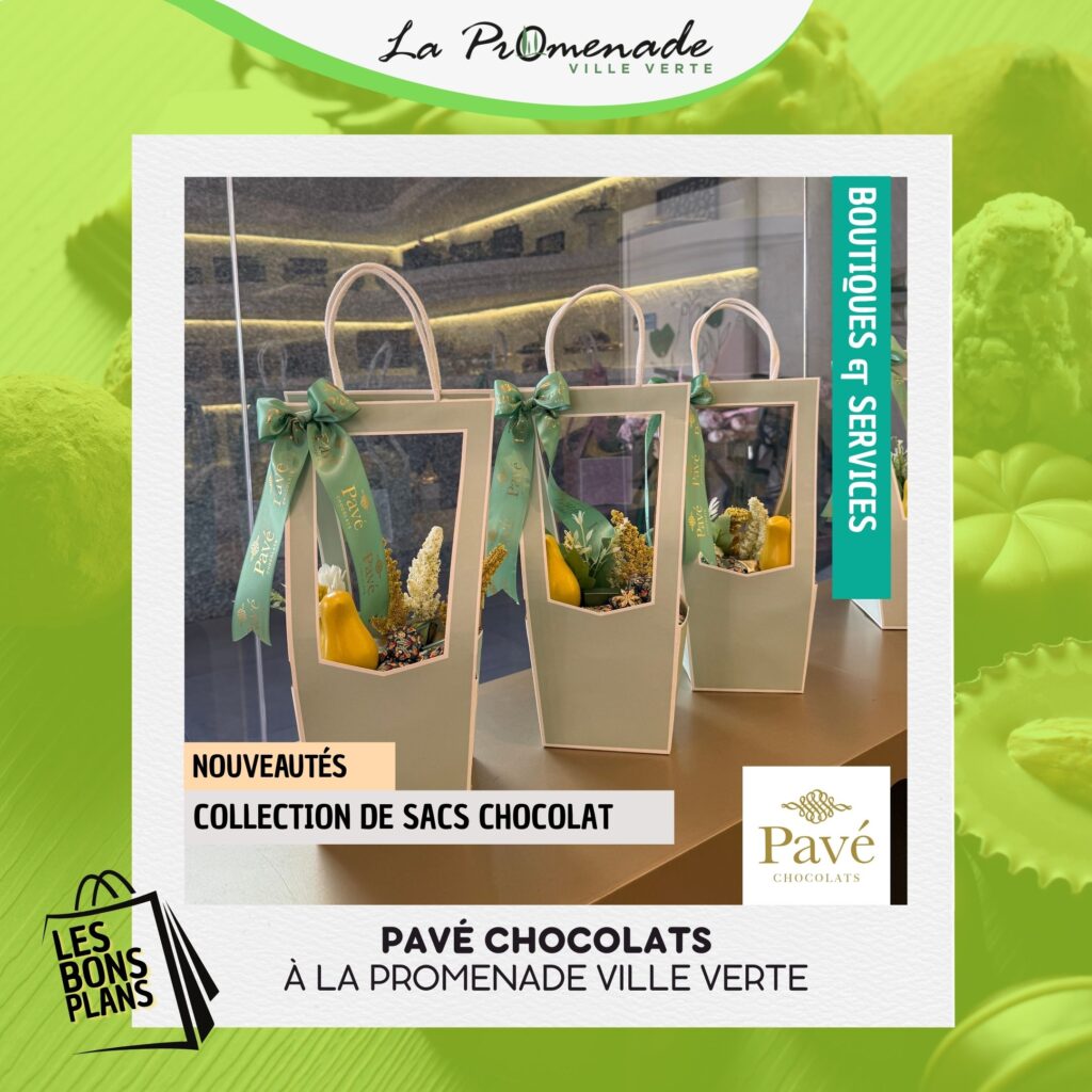 Collection de sacs chocolat